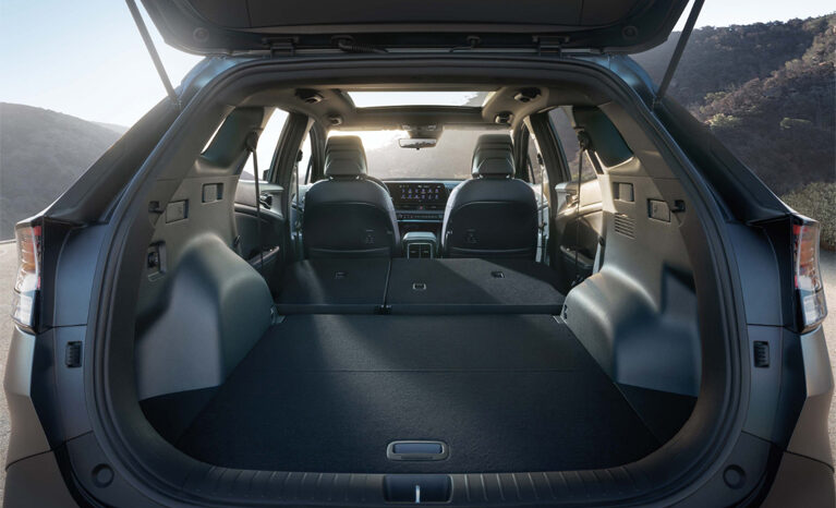 Kia Sportage lleno