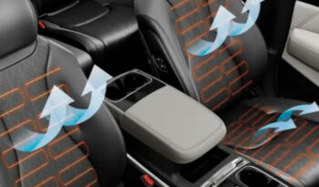 Kia Carnival lleno